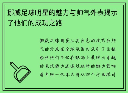 挪威足球明星的魅力与帅气外表揭示了他们的成功之路