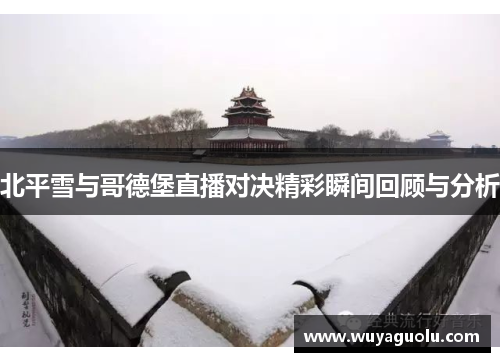 北平雪与哥德堡直播对决精彩瞬间回顾与分析