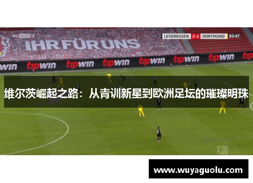 维尔茨崛起之路：从青训新星到欧洲足坛的璀璨明珠