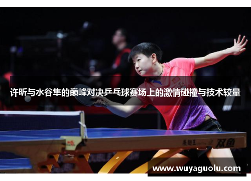 许昕与水谷隼的巅峰对决乒乓球赛场上的激情碰撞与技术较量